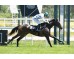  Carrera: G.P.Nacional Caballo: Roncal Monta: V.Janacek